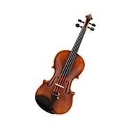 Violino Set di violino per adulti fatto a mano per principianti di violino con fiocco in scatola (Color : 4/4)