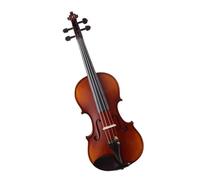 Violino Set Kit di violino in legno massello fatto a mano per principianti, pratica per adulti ed arco da esame con scatola (Color : 1/8)