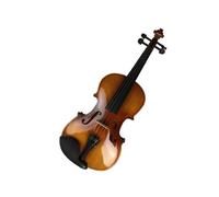Violino Set Pratica manuale per principianti per violino adulto in legno massello con modello artigianale (Color : 3/4)