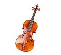 Violino Set Professionale Antico Strisce Naturali Acero Master Verniciatura Artigianale Violino Con Custodia Arco Violino 4/4 3/4 1/2 1/4 (Color : 1/2)