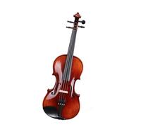 Violino Set Test pratico per violino per principianti adulti Violino professionale completamente fatto a mano in legno massello (Color : 1/10)