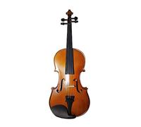 Violino Stripes Acero Violino Acustico Violino Strumento A Corda Con Accessori Completi Violino (Color : 1-8)
