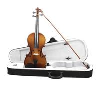 Violino Strumenti Musicali Custodia Per Violino Fatta A Mano Di Dimensioni Standard Con Archetto Principianti E Adulti Esercitarsi Gli Strumenti Musicali(1-2)