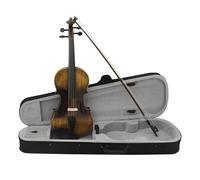 Violino Strumento A Corde Di Violino Luminoso 4/4 Violino Classico Acustico Con Custodia Set Di Accessori Per Strumenti Musicali(SET1)