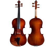 Violino Strumento da gioco per violino per principianti in legno massello fatto a mano per esame per adulti (Color : 1/10)