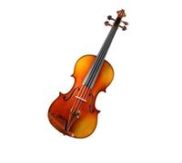 Violino Test pratico per violino per adulti e set per violino per principianti (Color : 1/2)