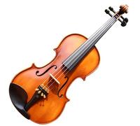 Violino Violini naturali fatti a mano classificati per adulti Set di violino 4/4 3/4 (Color : 1/4)