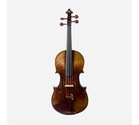 Violino Violino 4/4 Esame di livello professionale per principianti che suonano il violino