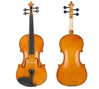 Violino Violino 4/4 Per Principianti Adulti Con Custodia Rigida Archetto Spalliera Corde Extra E Sordine
