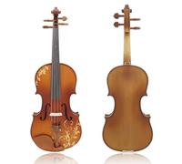 Violino Violino 4/4 Set di violini per violino intagliato in legno massello acustico professionale con custodia Accessori per strumenti musicali per principianti (Color : 4/4)