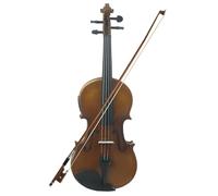 Violino Violino 4/4 Violino elettrico Set Pannello in acero Violino vintage per spettacoli Strumento a corda professionale (Color : Log color)