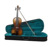 Violino Violino a grandezza naturale 4/4 in legno di abete rosso per principianti amanti del violino con scatola