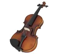 Violino Violino acustico professionale 4/4 Violino in acero Violino stile vintage con custodia Arco per principianti (Color : 1/2)