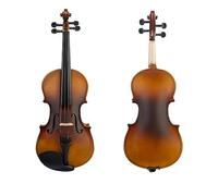 violino Violino Acustico Violino 4/4 Kit Violino Per Principianti Realizzato A Mano In Legno Massello Con Custodia Per Il Trasporto Ponte Ad Arco (Color : A)