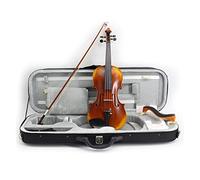 Violino Violino Antico Full Size 4/4 Violini Professionali Violi 25 Anni Asciugatura Naturale Azzurra Fiammata Violino
