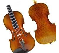 Violino Violino Dipinto Ad Olio Di Alta Qualità