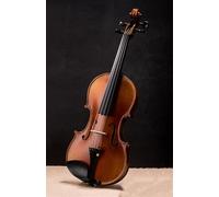 Violino Violino Fatto A Mano Professionale In Legno Per Principianti(1/4)