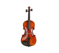 Violino Violino In Legno Massello Con Corde Per Arco Di Custodia Violino Per Studenti Principianti 4 Strumenti A Corda Violino (Color : 3-4)