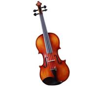 Violino Violino per adulti di grado professionale fatto a mano in legno massello di grado prestazionale (Color : 1/2)