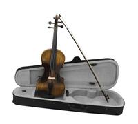 Violino Violino per violino acustico 4/4 con custodia per arco Strumento a corde retrò con corpo in acero brillante Violino per principianti
