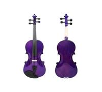 Violino Violino viola 4/4 Presente Corso di musica adatto Studio con parti pratiche Esame di livello professionale per principianti di violino