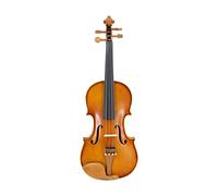 Violino Violino Violino Per Adulti Per Bambini Di Qualità In Legno Per Violino Violin 4/4 3/4 1/2 1/4 1/8 Violino (Color : 1-2)