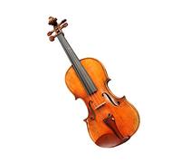 Violon Student Violino Acustico Abete Europeo Top In Acero Fondo 4/4 Violino IPE Bow Bridge Case Set