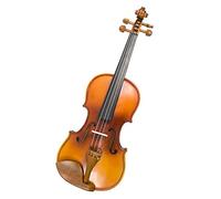 Violon Student Violino Per Studenti 4/4 Principianti In Legno Massello Fatto A Mano Con Accessori In Legno Di Giuggiola (Color : 4/4)