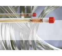 Violoncello - Corde Per Violoncello Larsen Aurora - Re 1/16 Sfusa - Medium