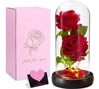 VIPNAJI La Bella e La Bestia Rosa Eterna,Regali, Rosa Stabilizzata in Cupola di Vetro con Base Pino con LED Light, Kit di Rose, Decorazioni,Regali per Donne,Mamma,Fidanzata,Anniversario,Matrimonio