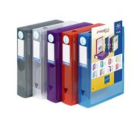 Viquel Class Docs Propyglass - Confezione da 8 scatole di archiviazione personalizzabili, in polipro, dorso da 60 mm, colori assortiti