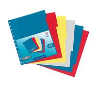 Viquel - Divisori Maxi A4 a 6 posizioni per porta GEODE View, colori assortiti