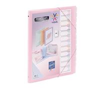 Viquel - Propysoft - Organizer A4 personalizzabile con 12 scomparti - Chiusura elastica - Rosa traslucido