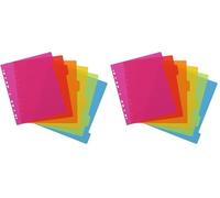 VIQUEL Set di 12 divisori in polipro A4 maxi. Colori fluo multicolori