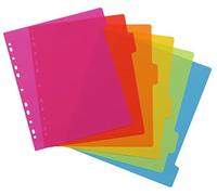 VIQUEL Set di 6 divisori in polipro A4 maxi. Colori fluo multicolori