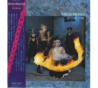 VIRGIN PRUNES - If I Die, I Die
