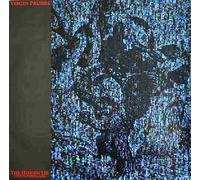 Virgin Prunes - The Hidden Lie (live In Paris)