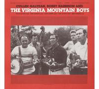 Virginia Mountain Boys - Vol. 4-Virginia Mountain Boys