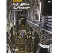 Virginis templum. Siena. Cathedral, crypt, baptistery. Ediz. illustrata