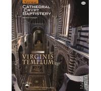 Virginis templum. Siena. Cathedral, crypt, baptistery. Ediz. illustrata - ...