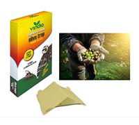 Viridia Trappola Insetti Biologico Volanti Adesiva Mosca dell' ULIVO OLIVO Frutta Piante orto Trappola per vespe, Trappola per Freni, Trappola Mosca dei Frutti, Trappola per Mosche degli ulivi
