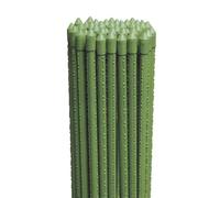 Virsus 10 Canne in Acciaio con Rivestimento in Plastica Verde, Lunghezza 150 cm, diametro 11 mm, Stecche Sostegno per piante Rampicanti, Ortaggi, Pomodori, per giardino, orto -6401F