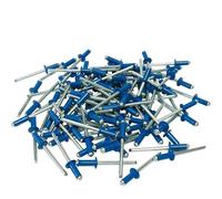 Virsus 100 Rivetti in acciaio per Targa Europea 3132, misura 4,8x12 mm, rivetti ciechi a griffe, elementi di fissaggio parti metalliche, per auto, moto, fai da te (Blu RAL5017)