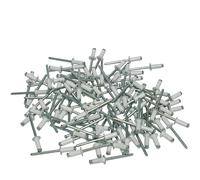 Virsus 100 Rivetti in acciaio per Targa Europea 3133, misura 4,8x12 mm, rivetti ciechi a griffe, elementi di fissaggio parti metalliche, per auto, moto, fai da te (Bianco RAL9010)