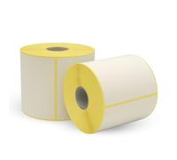 Virsus 20 Rotoli da 500 etichette termiche adesive, misura 100 x 100 foro 40 mm, etichette per stampanti, 10000 pezzi in totale