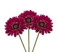 Virsus 3 Gerbere Artificiali Margherite Giganti in Tessuto 8013, Fiori finti, gambo lungo, composizione floreale decorazioni, bouquet nozze regalo matrimonio, feste eventi, Vari Colori (Fucsia)