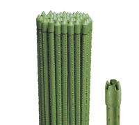 Virsus 50 Canne in Acciaio con Rivestimento in Plastica Verde, Lunghezza 210 cm, diametro 16mm, Stecche Sostegno per piante Rampicanti, Ortaggi, Pomodori, per giardino, orto -3257F