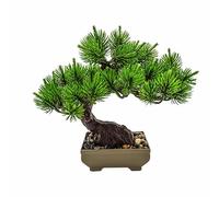VIRSUS Bonsai Artificiale 84019, misura 26x23 cm, Pianta Finta in vaso, Pianta di Bonsai di Pino Giapponese, Piante per Decorazioni per hotel, uffiio, casa, esterno