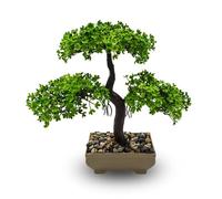 VIRSUS Bonsai Artificiale 84026, misura 24x24 cm, Pianta Finta in vaso, Pianta di Bonsai di Pino Giapponese, per Decorazioni per hotel, uffiio, casa, esterno