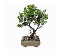 VIRSUS Bonsai Artificiale 84033, misura 17x24 cm, Pianta Finta in vaso, Pianta di Bonsai di Pino Giapponese, per Decorazioni per hotel, uffiio, casa, esterno